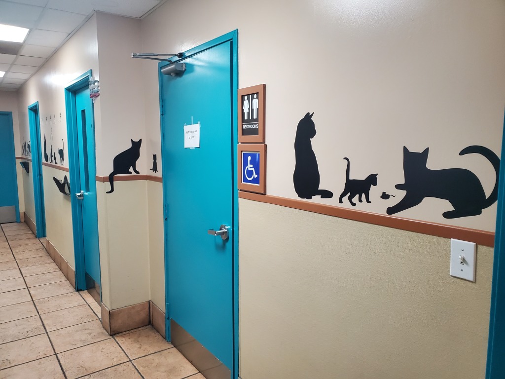 About Us Torrance Companion Animal Hospital