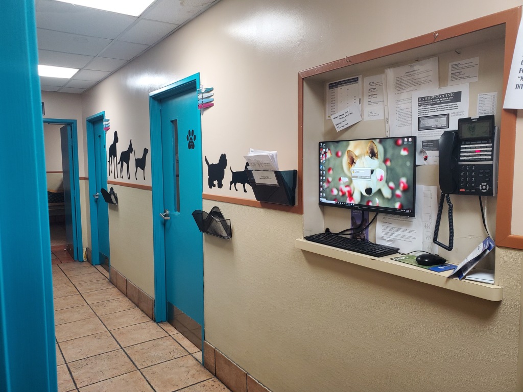 About Us Torrance Companion Animal Hospital