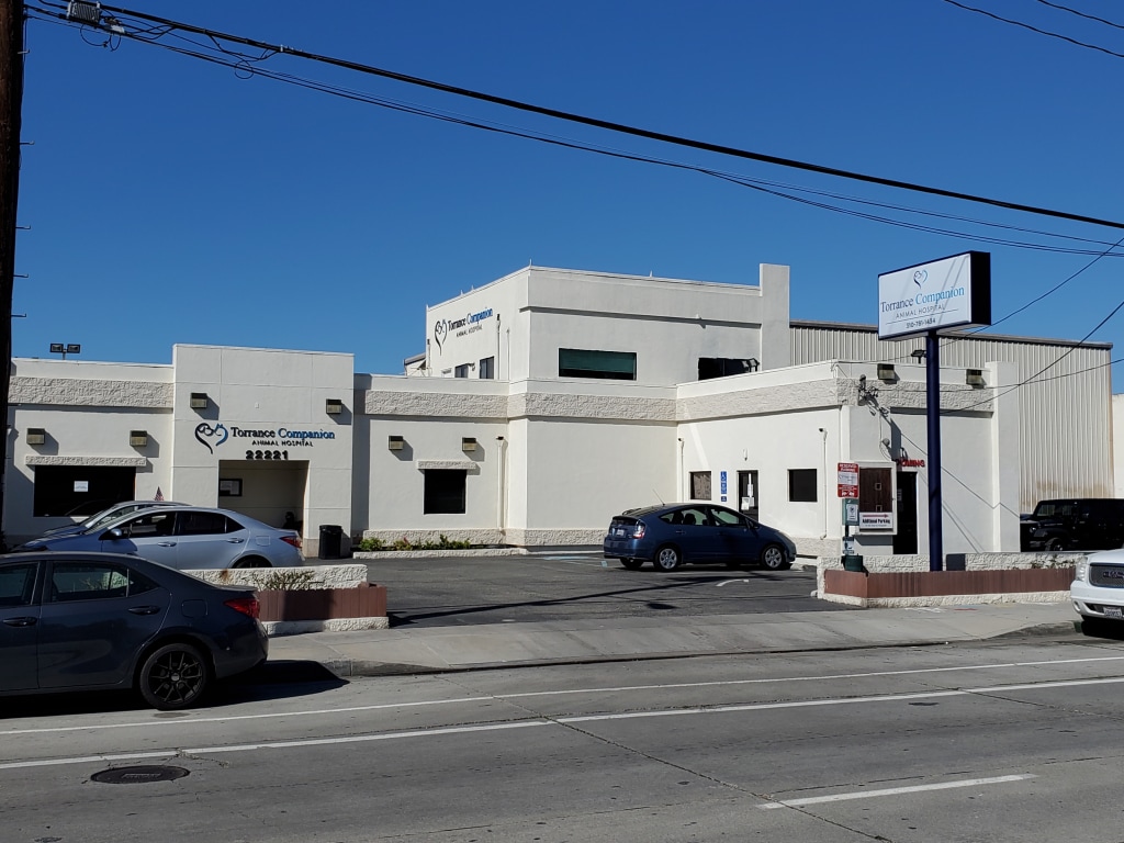 About Us Torrance Companion Animal Hospital
