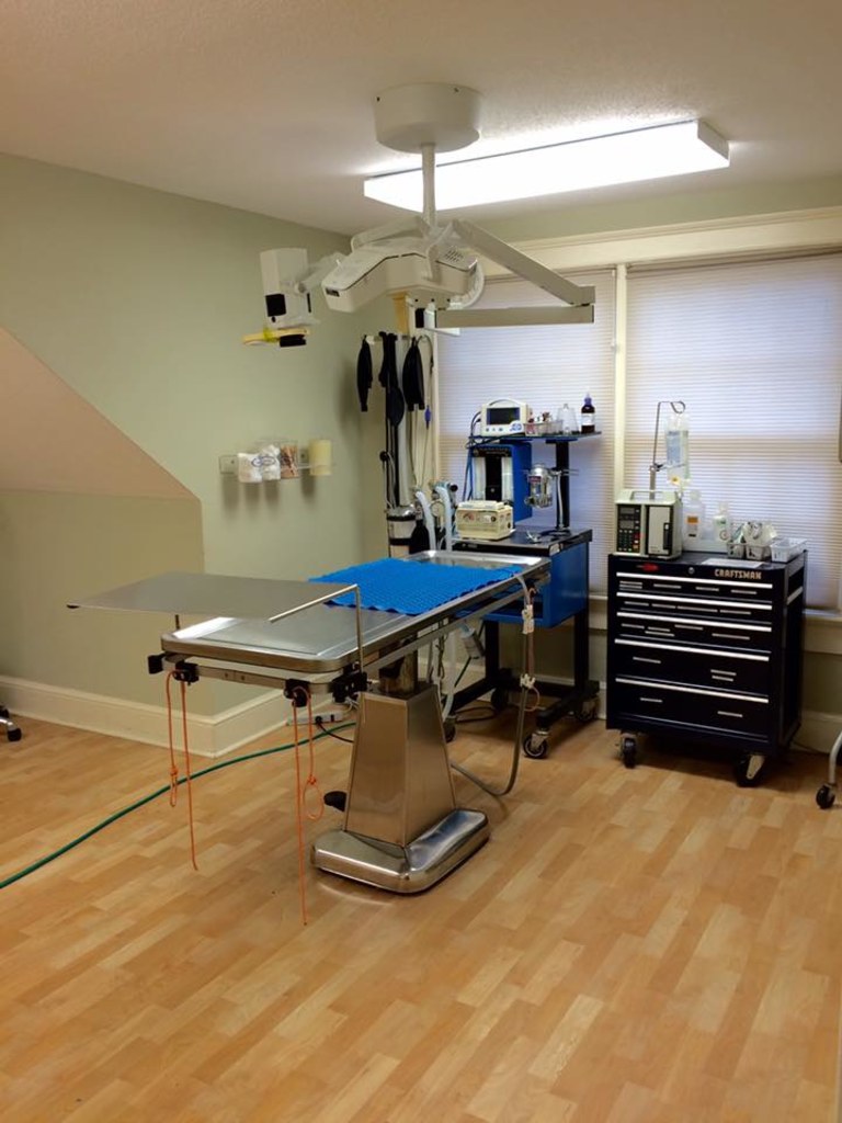 Tour of our Hospital Animal General, Veterinarians in Avon