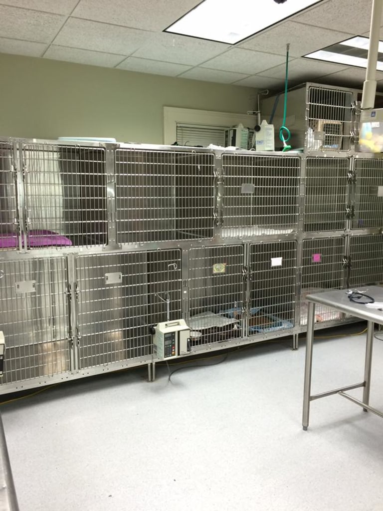 Tour of our Hospital Animal General, Veterinarians in Avon