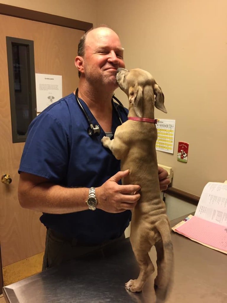 About Dunnellon Animal Hospital in Dunnellon, FL