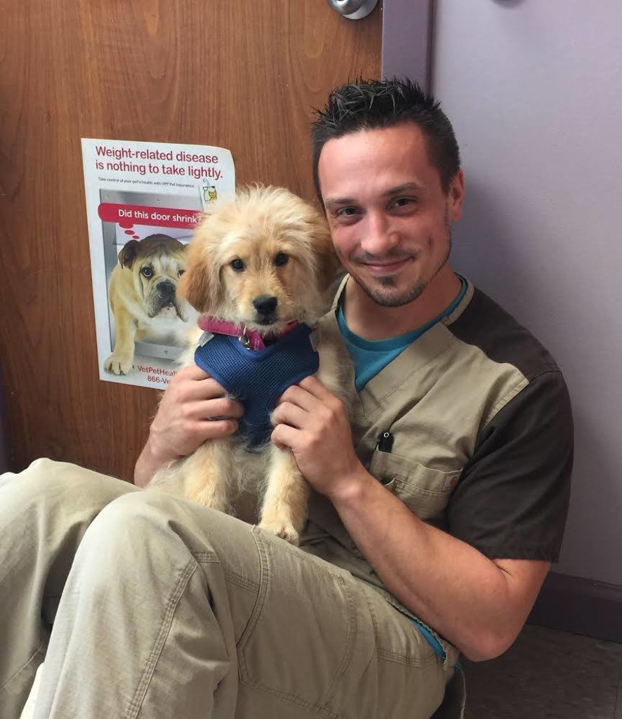 Patient Gallery Fine Animal Hospital Bedford Vet Clinic