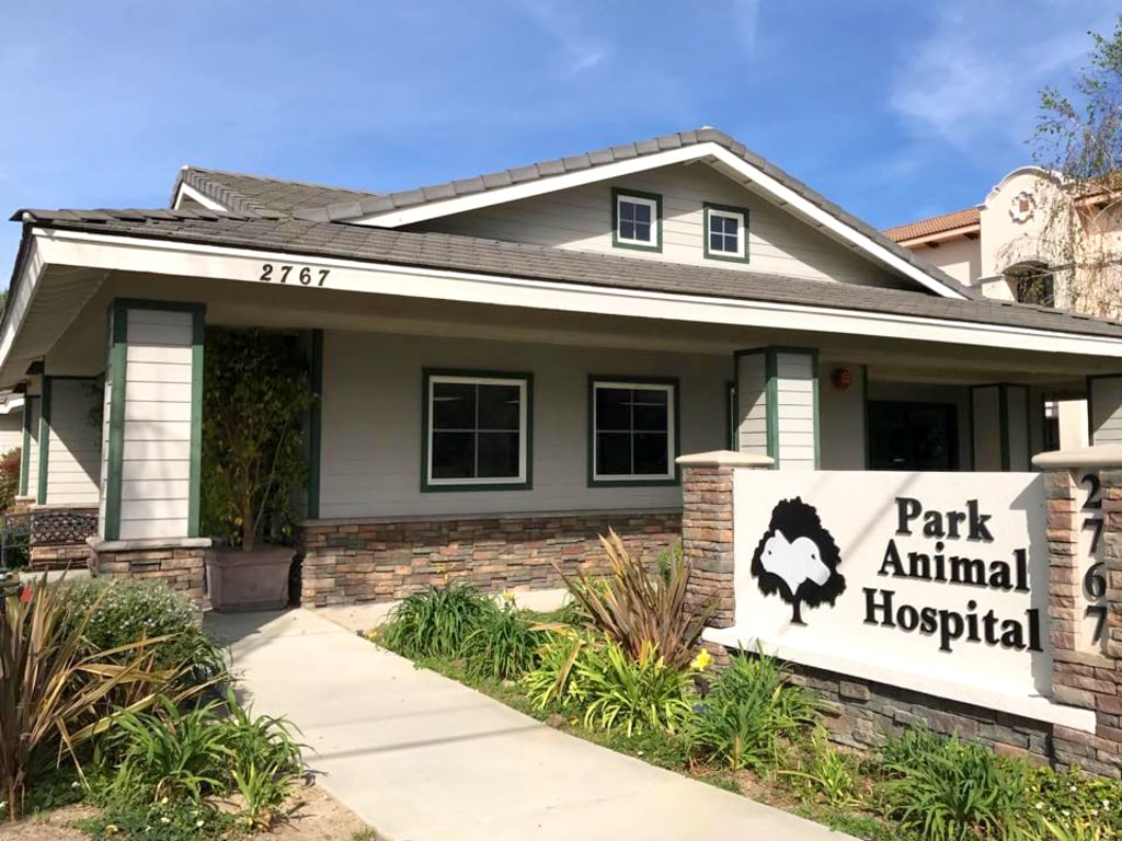 About Park Animal Hospital, Simi Valley Veterinarian