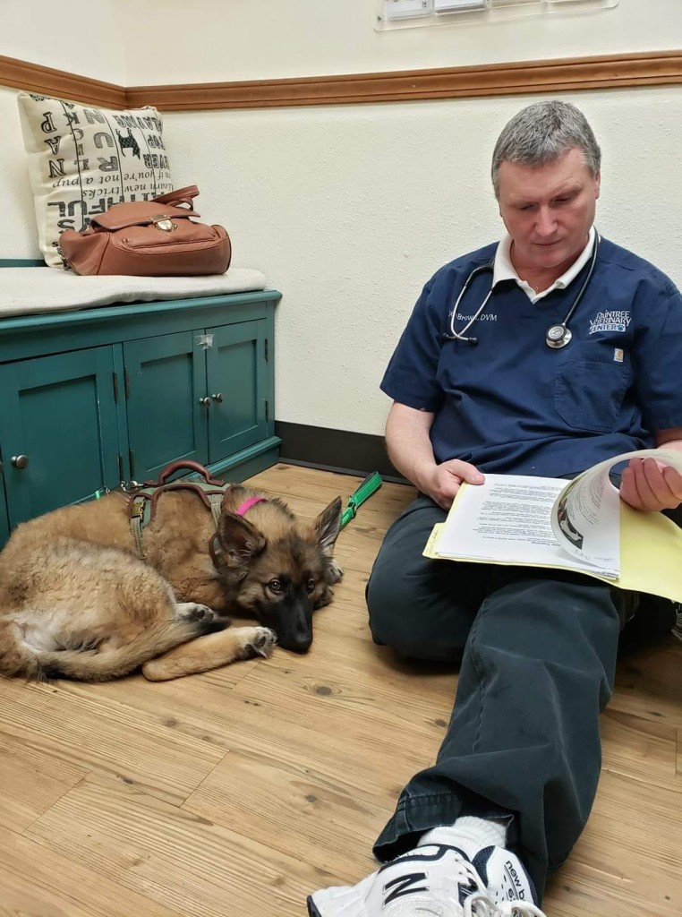 Hospital Gallery Raintree Veterinary Center Hoquiam Vets