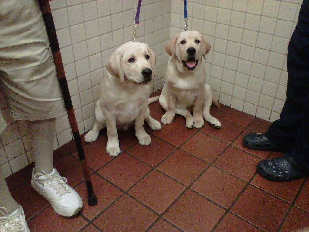 About Deer Park Animal Hospital, Deer Park Veterinarian Open 6 Days a