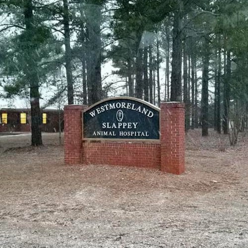 Hospital Gallery Westmoreland & Slappey Animal Hospital