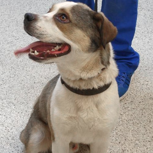 Hospital Gallery Westmoreland & Slappey Animal Hospital