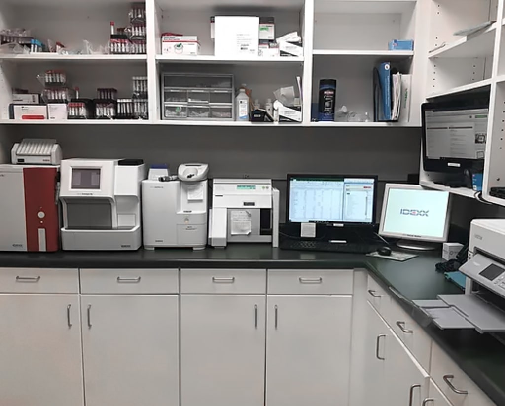 Hospital Gallery Westmoreland & Slappey Animal Hospital