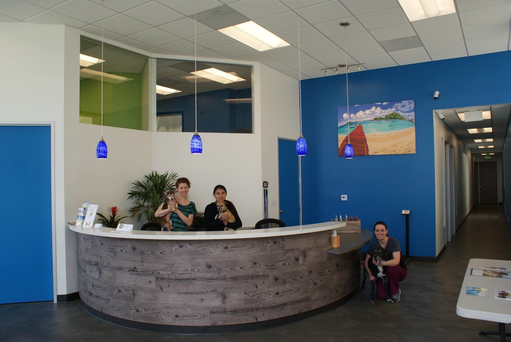 San Diego Bay Animal Hospital ANIMALS OKL