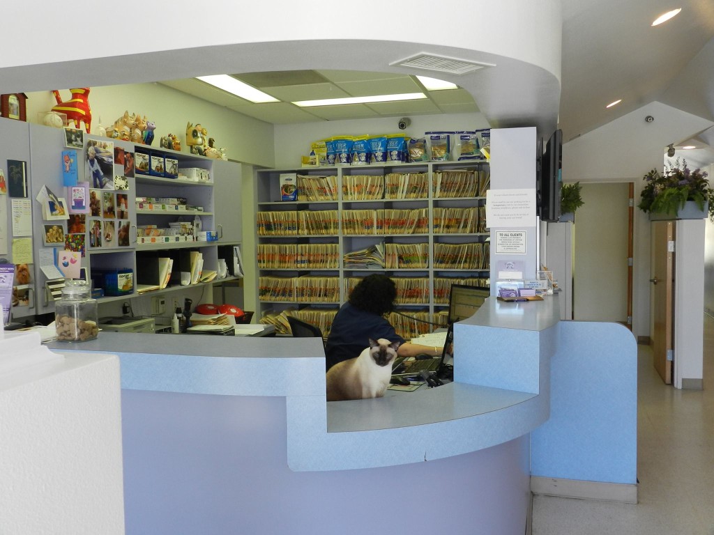 Hospital Gallery Rancho Park Veterinary Clinic