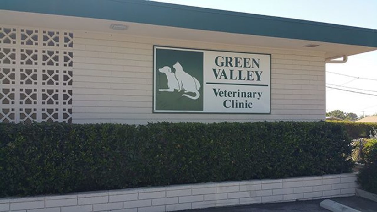 Hospital Gallery Green Valley Veterinary Clinic in Yucaipa