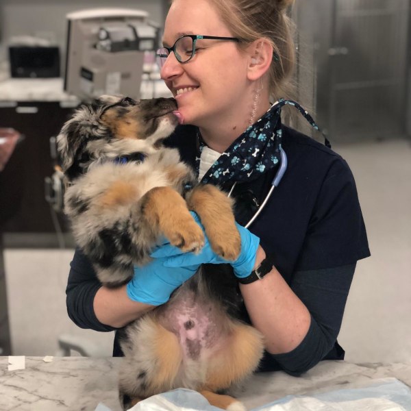 About Phoenix Veterinary Referral & Emergency Center in Phoenix Open 24/7