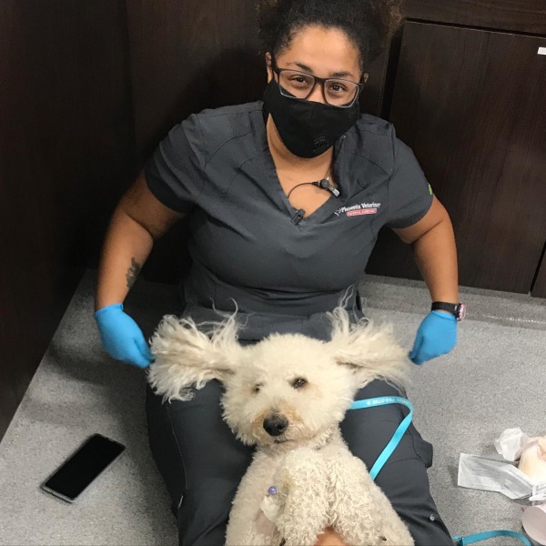 About Phoenix Veterinary Referral & Emergency Center in Phoenix Open 24/7