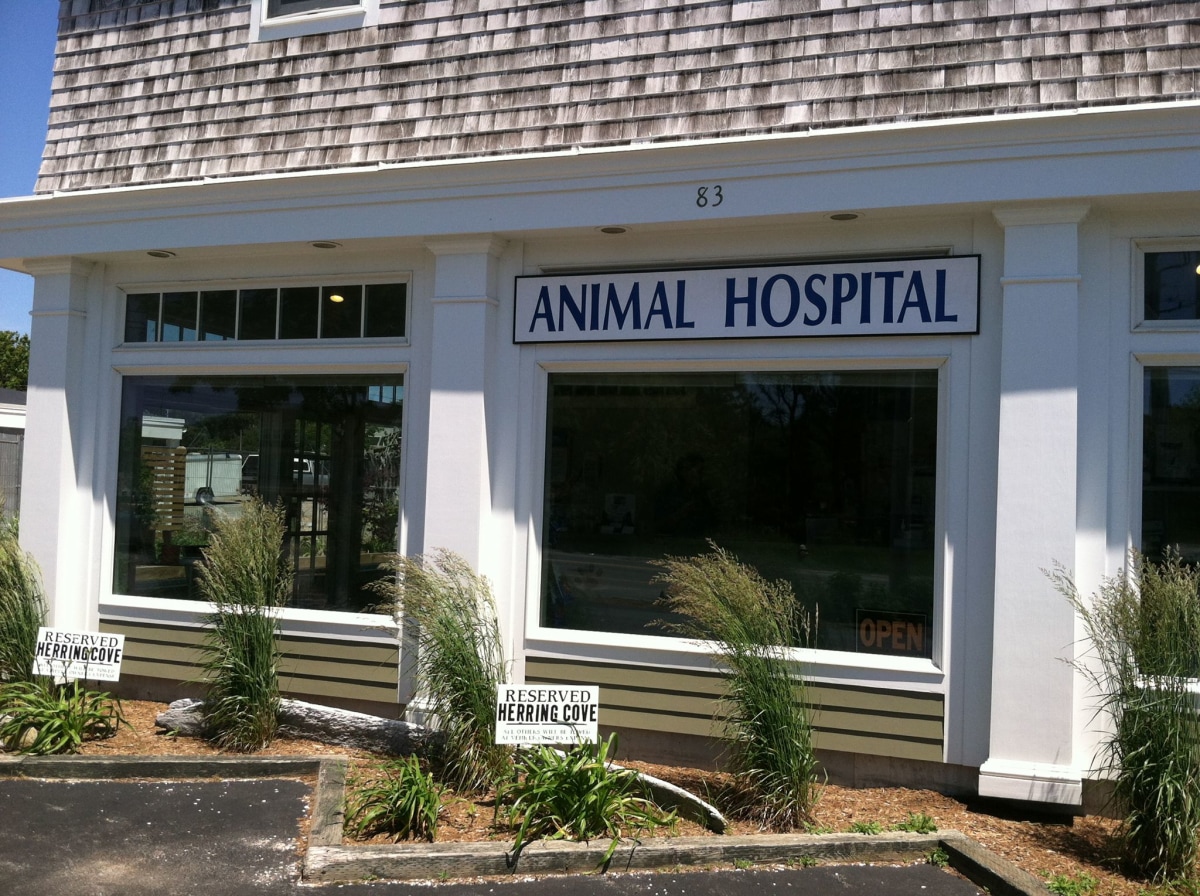 Hospital Gallery Herring Cove Animal Hospital, Provincetown Veterinarian