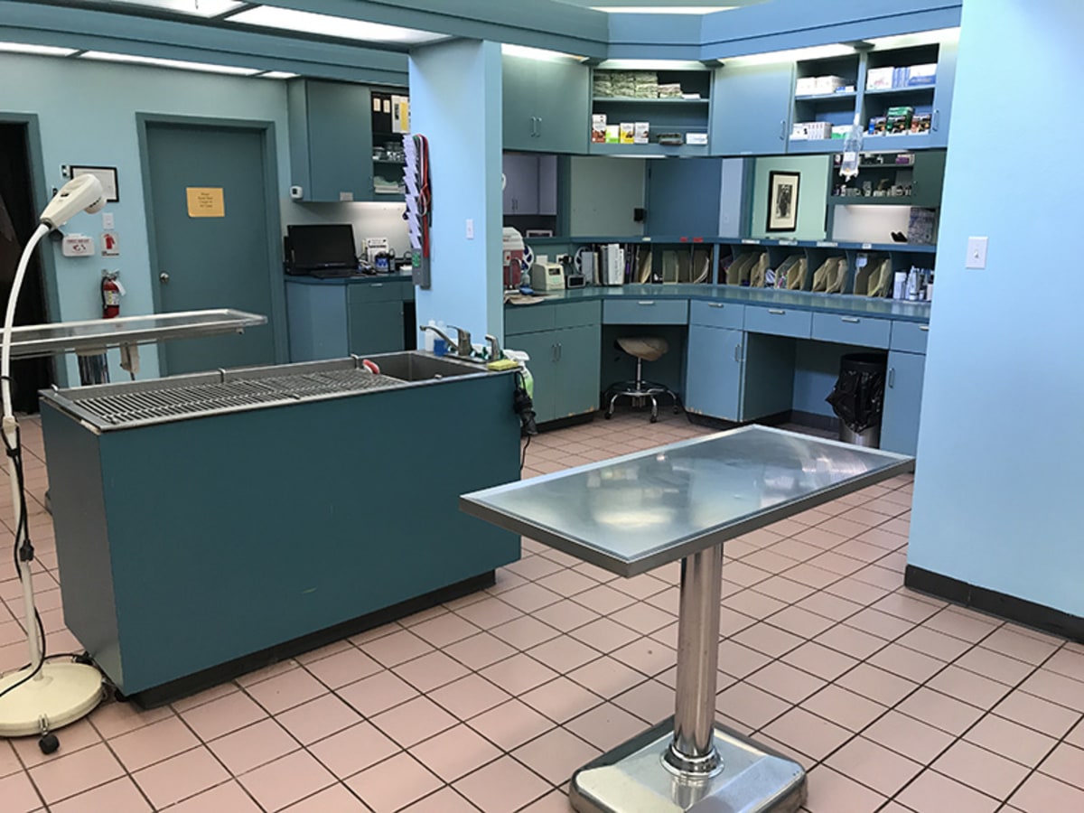 Hospital Gallery Northwest Austin Veterinary Center in Austin