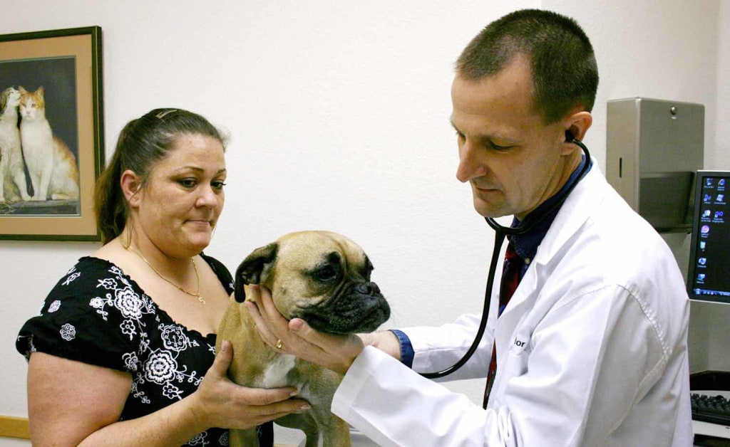 Hospital Gallery All Pets Veterinary Hospital