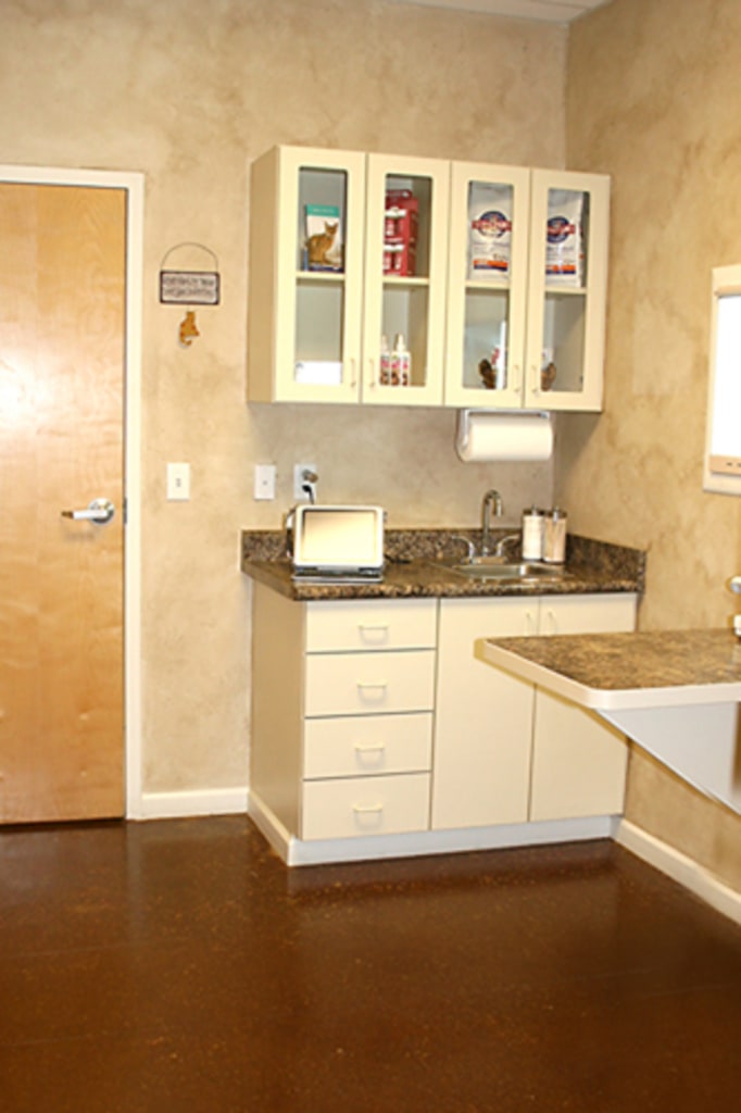 Hospital Gallery Animal Health Services in Cave Creek