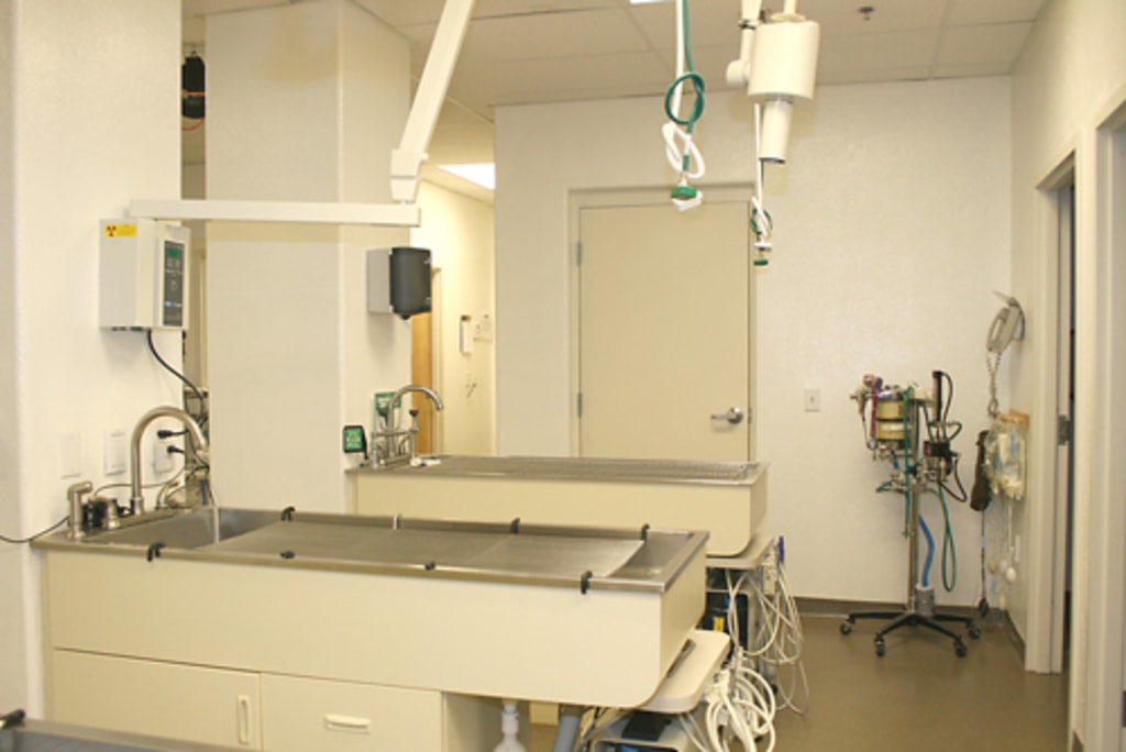 Hospital Gallery Animal Health Services in Cave Creek