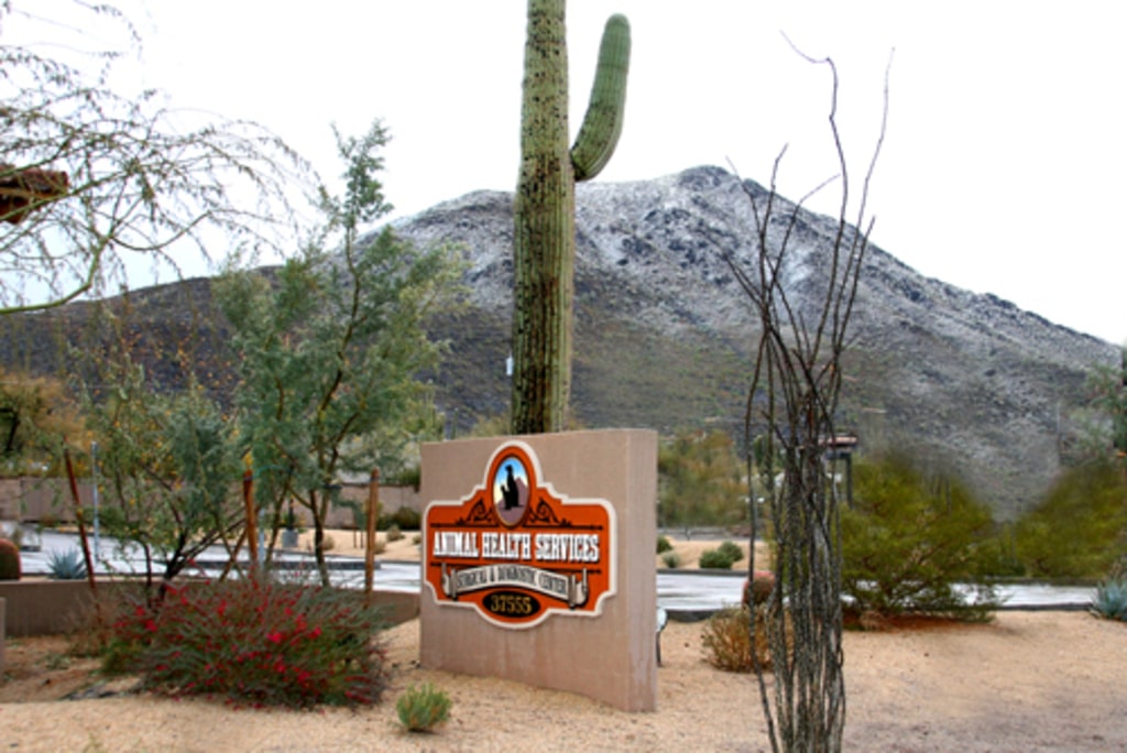 Hospital Gallery Animal Health Services in Cave Creek