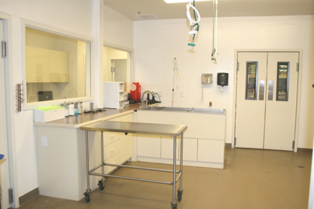 Hospital Gallery Animal Health Services in Cave Creek