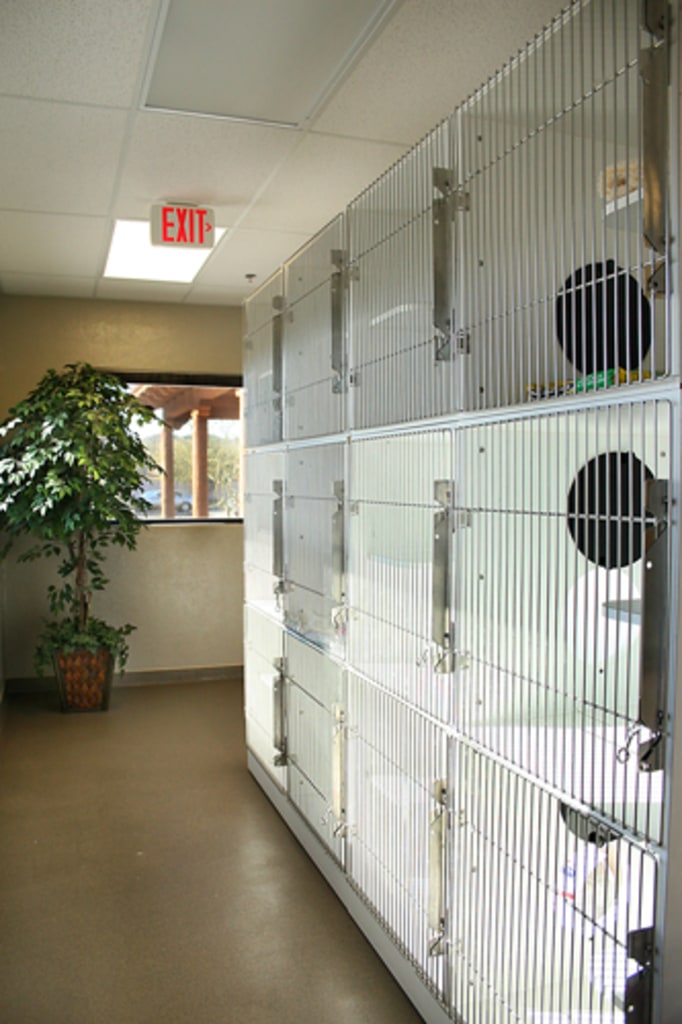 Hospital Gallery Animal Health Services in Cave Creek