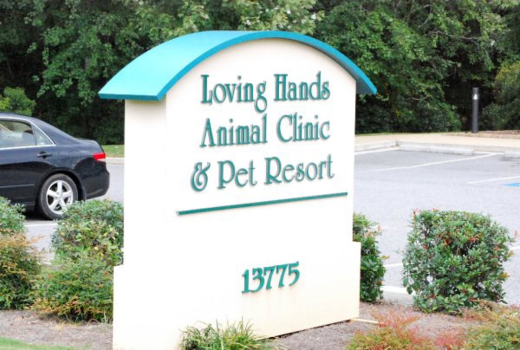 About Us Loving Hands Animal Clinic & Pet Resort, Alpharetta