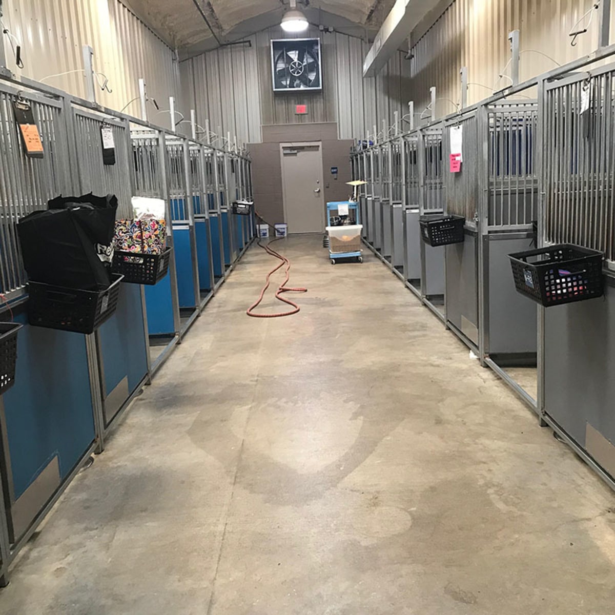 Hospital Gallery Kleinpeter Veterinary Hospital