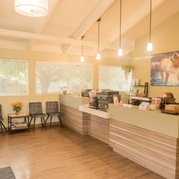 Santa Cruz Veterinary Hospital Hospital Gallery