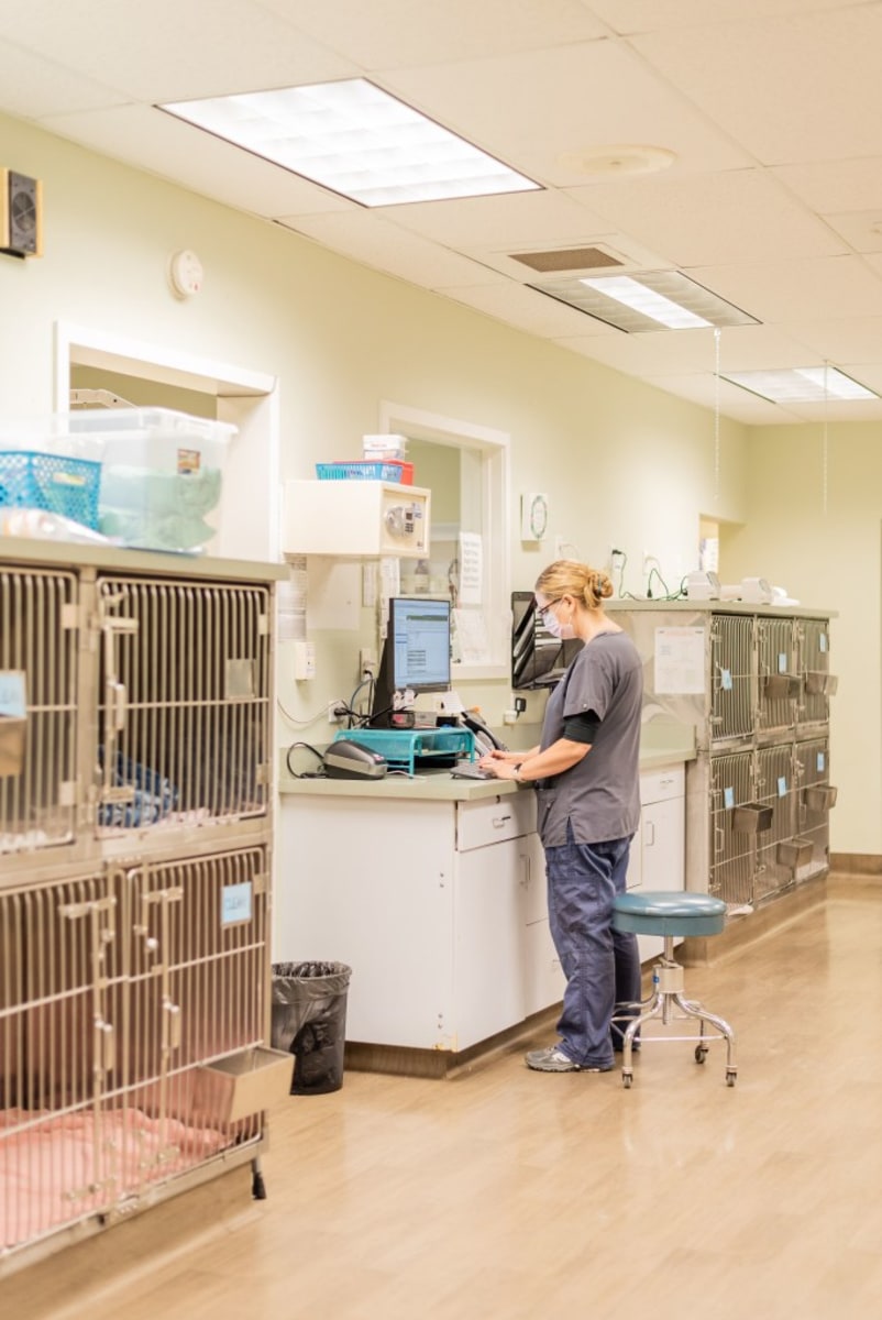 Santa Cruz Veterinary Hospital Hospital Gallery