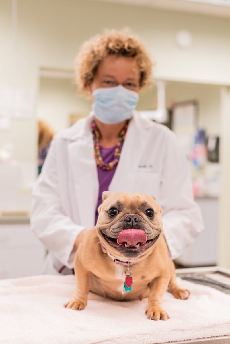 Santa Cruz Veterinary Hospital Hospital Gallery