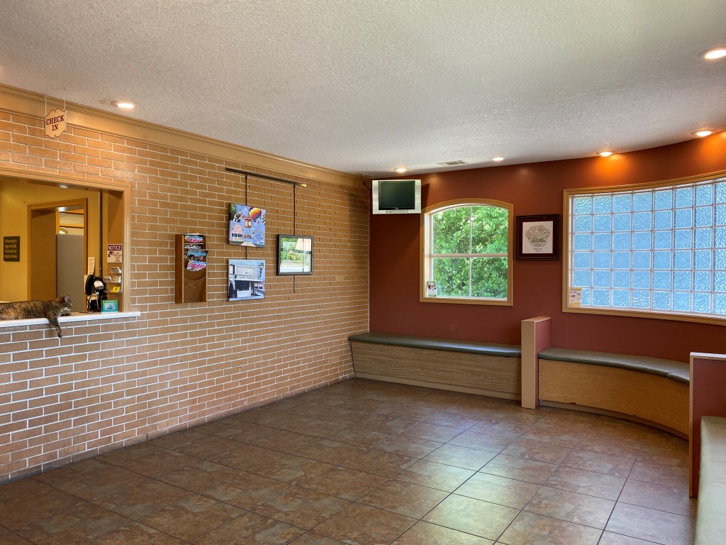 Hospital Gallery Perry Animal Hospital