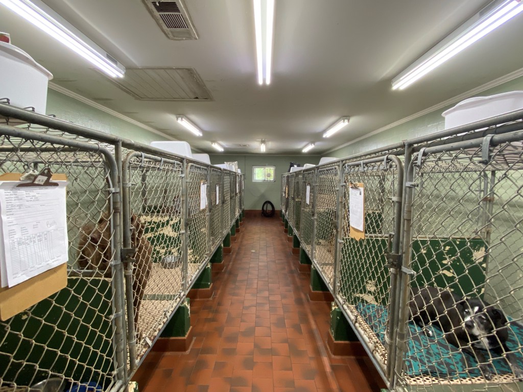 Hospital Gallery Perry Animal Hospital