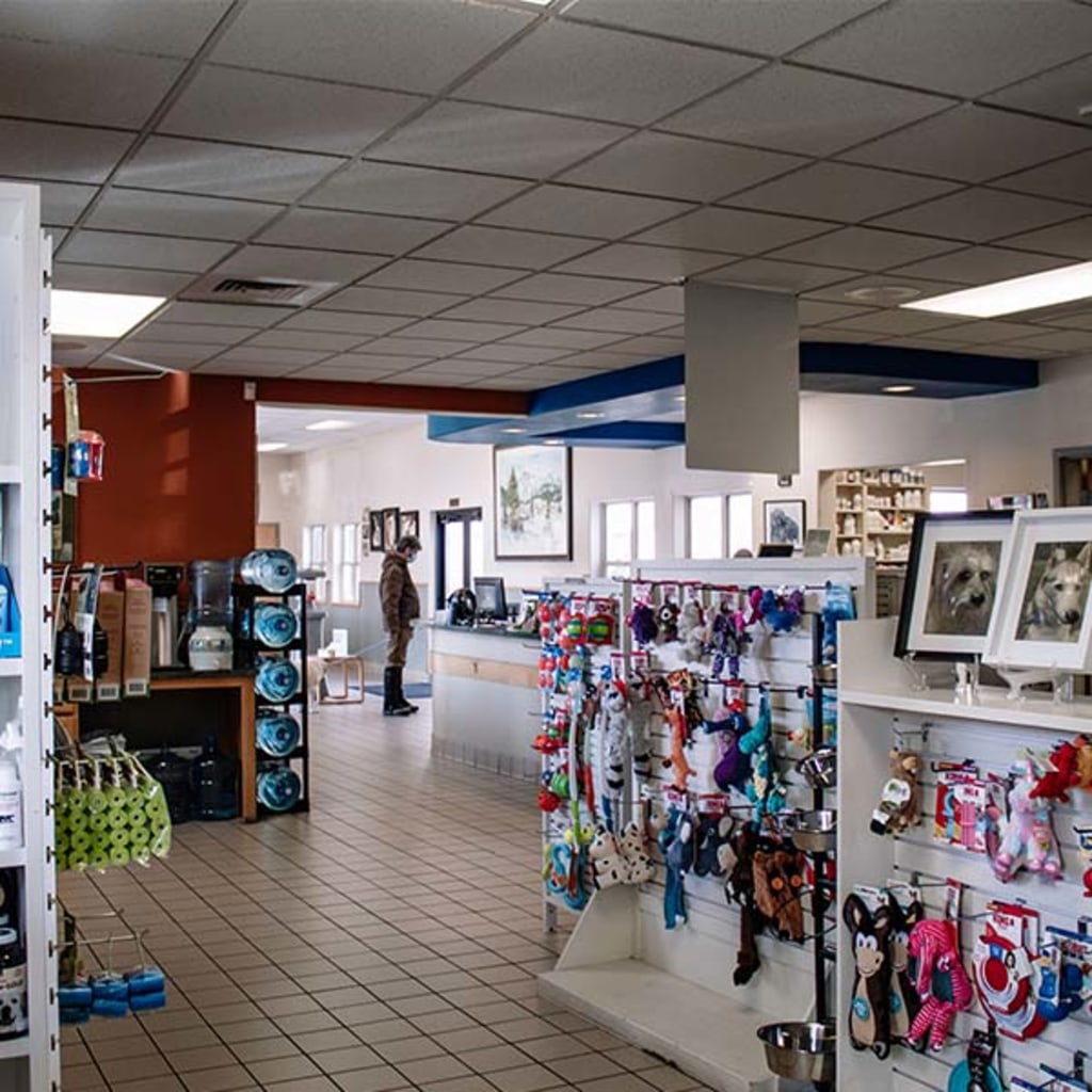 Quality Pet Food & Supplies Bellevue Vet