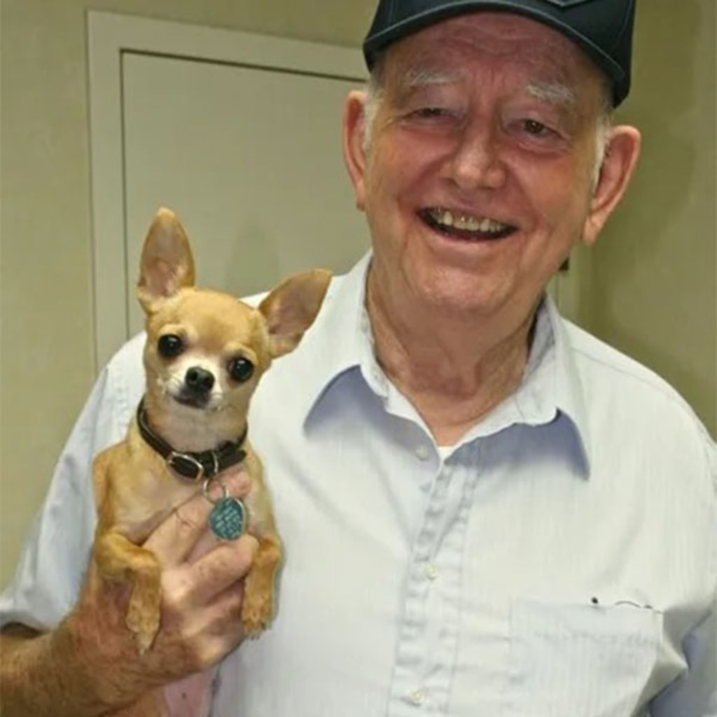 Pet Gallery Snellville Animal Hospital in Snellville