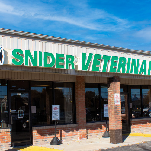 Hospital Gallery Of Snider Veterinary Services in Clinton Township