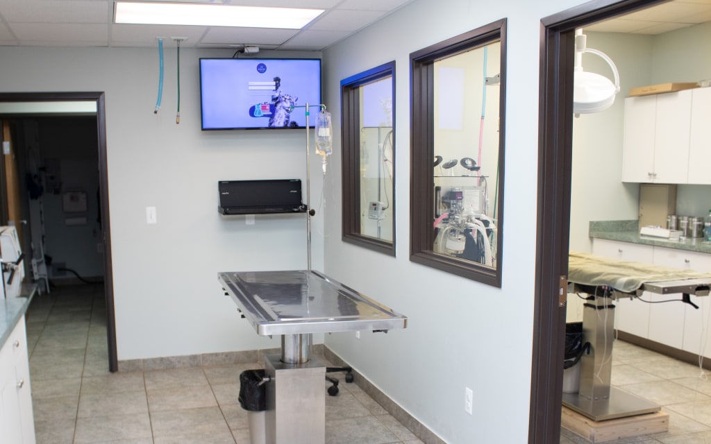 Hospital Gallery Of Snider Veterinary Services in Clinton Township