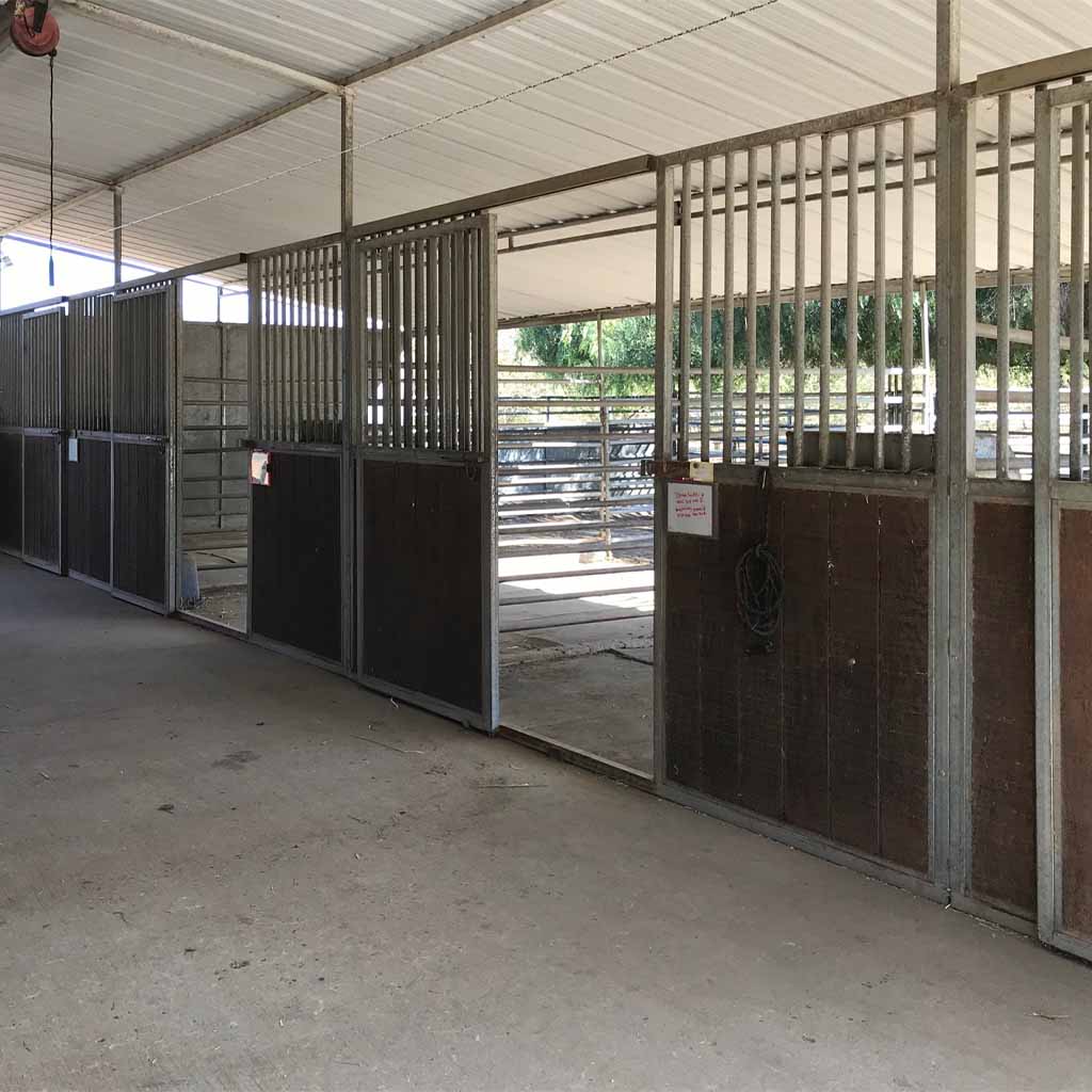 Hospital Gallery Taylor Veterinary Emergency, GP & Emergency