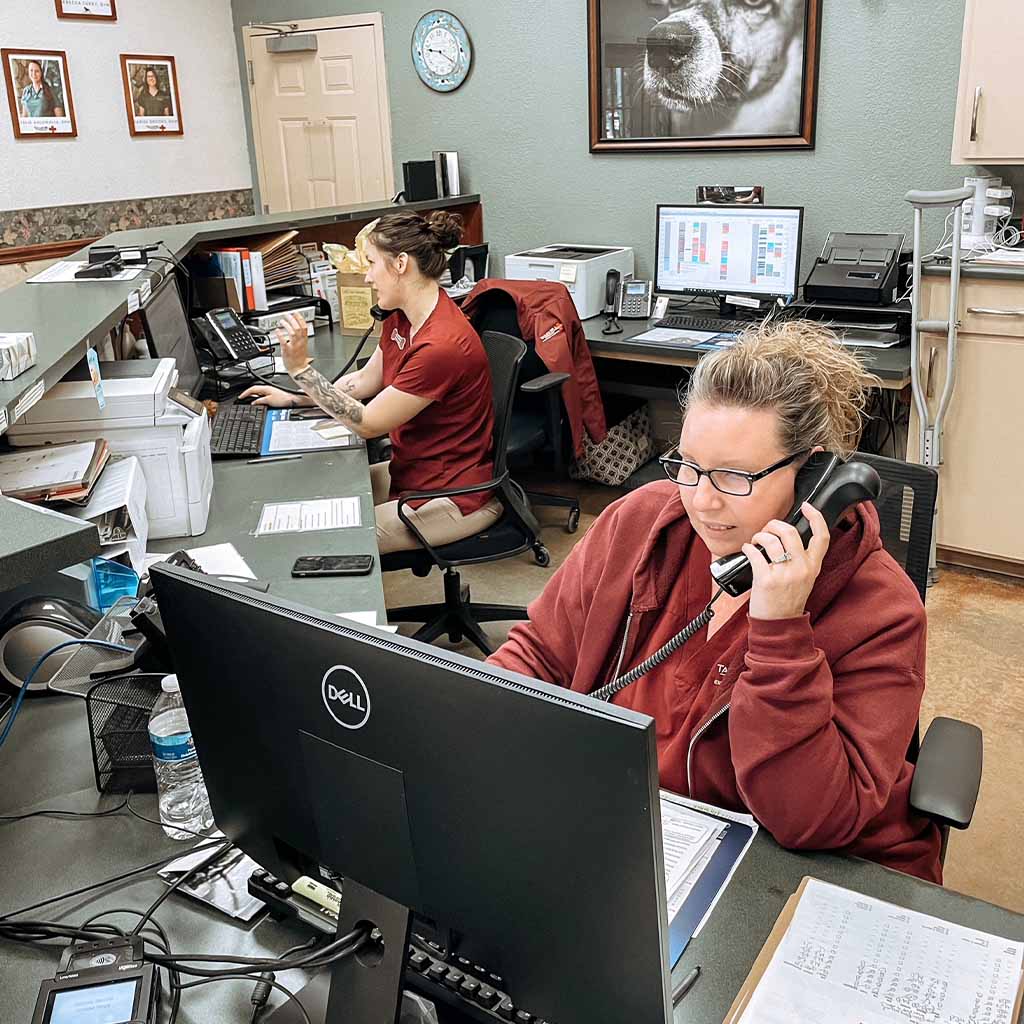 Hospital Gallery Taylor Veterinary Emergency, GP & Emergency