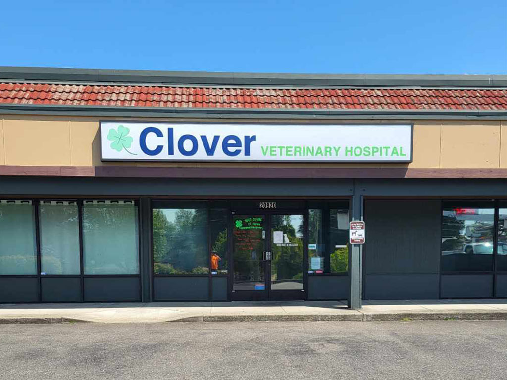About Clover Veterinary Hospital, Kent GP Veterinarian