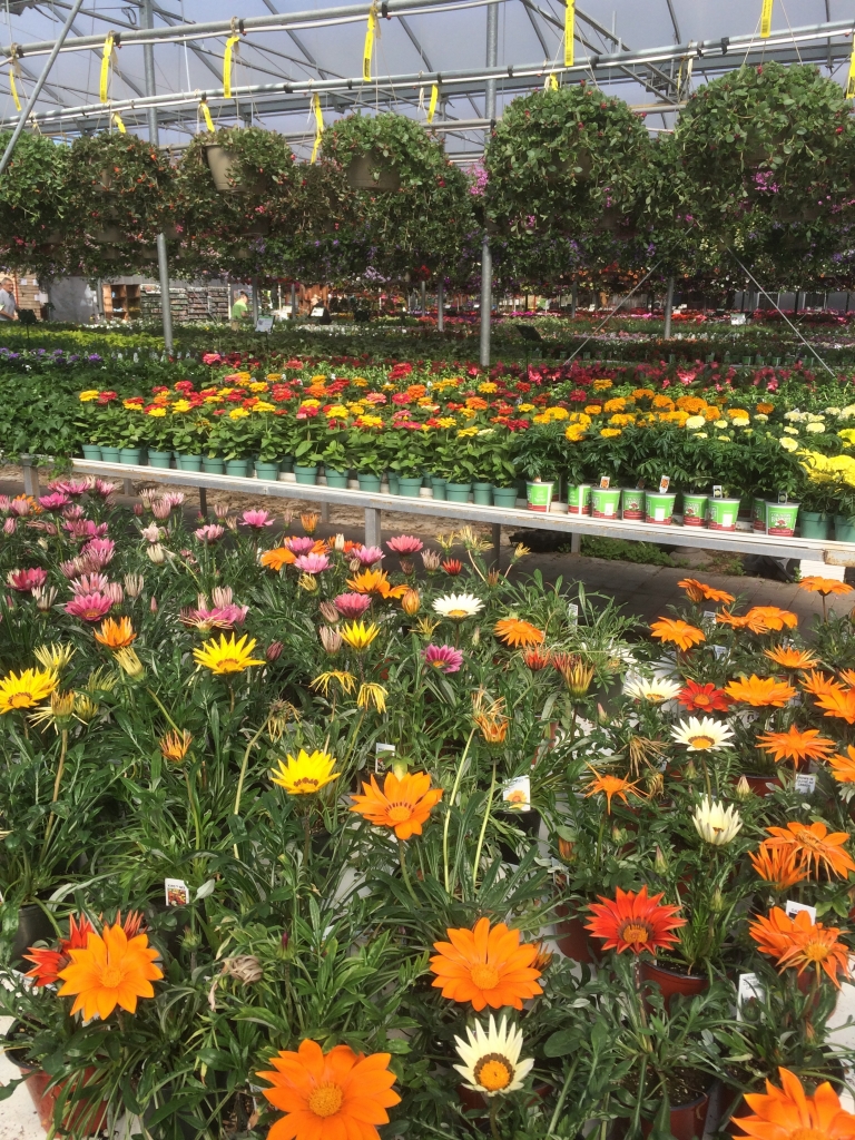 Why Us? Country Basket Garden Centre Niagara Greenhouse