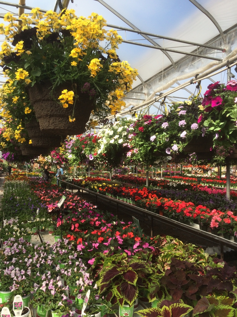 Niagara Garden Centres