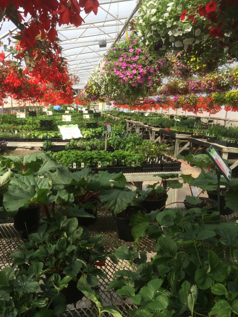 Why Us? Country Basket Garden Centre Niagara Greenhouse