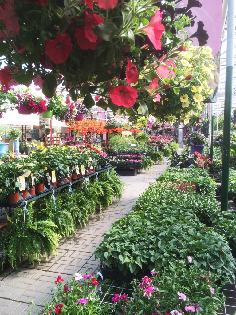 Why Us? Country Basket Garden Centre Niagara Greenhouse