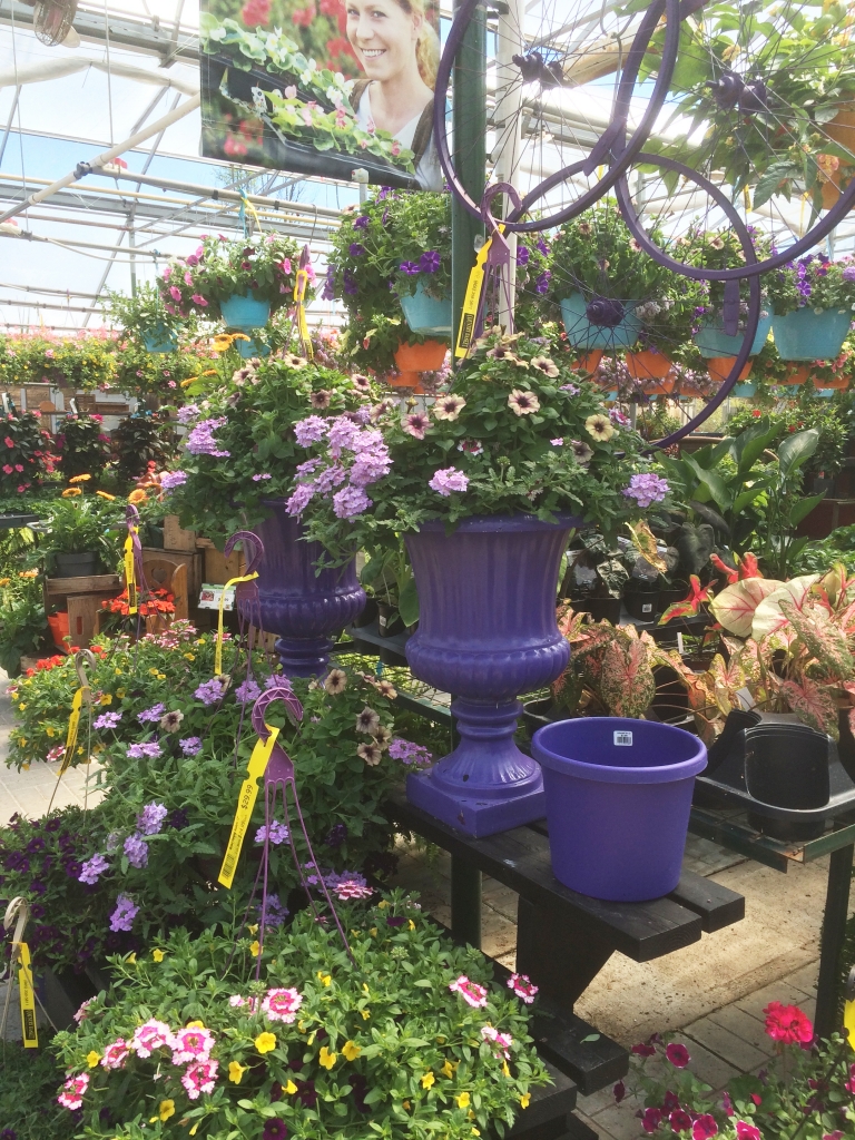 Why Us? Country Basket Garden Centre Niagara Greenhouse