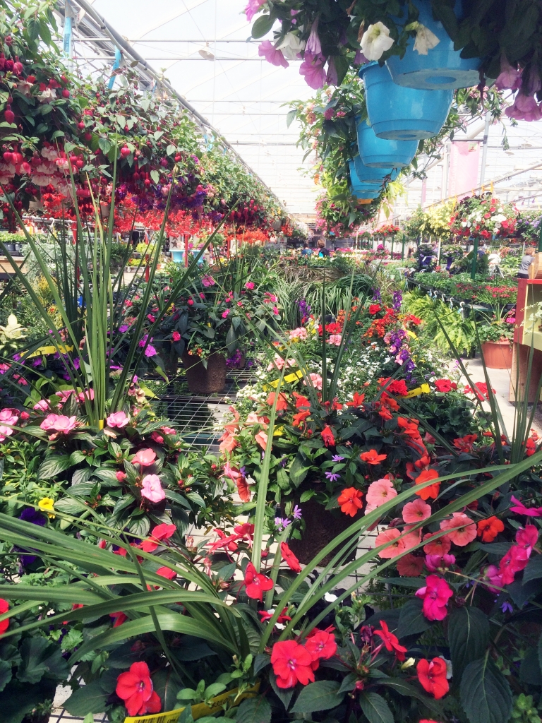 Why Us? Country Basket Garden Centre Niagara Greenhouse