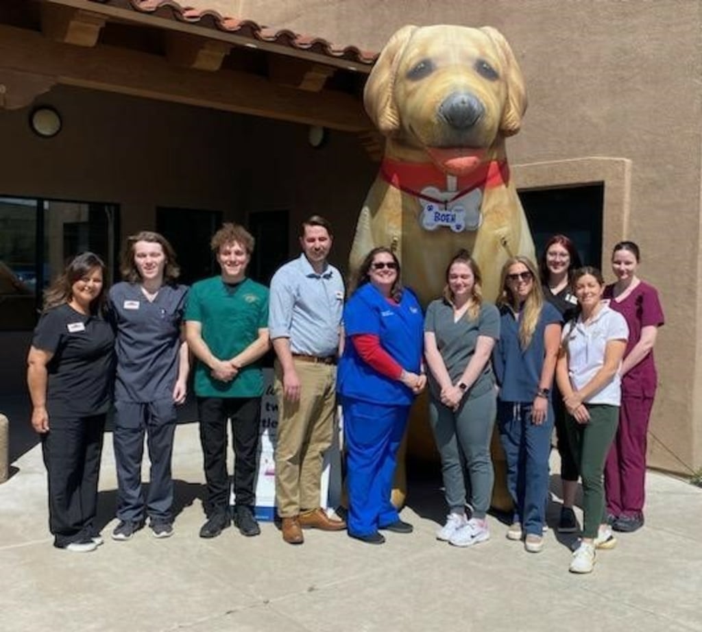 Hospital Gallery Animal Health Services in Cave Creek
