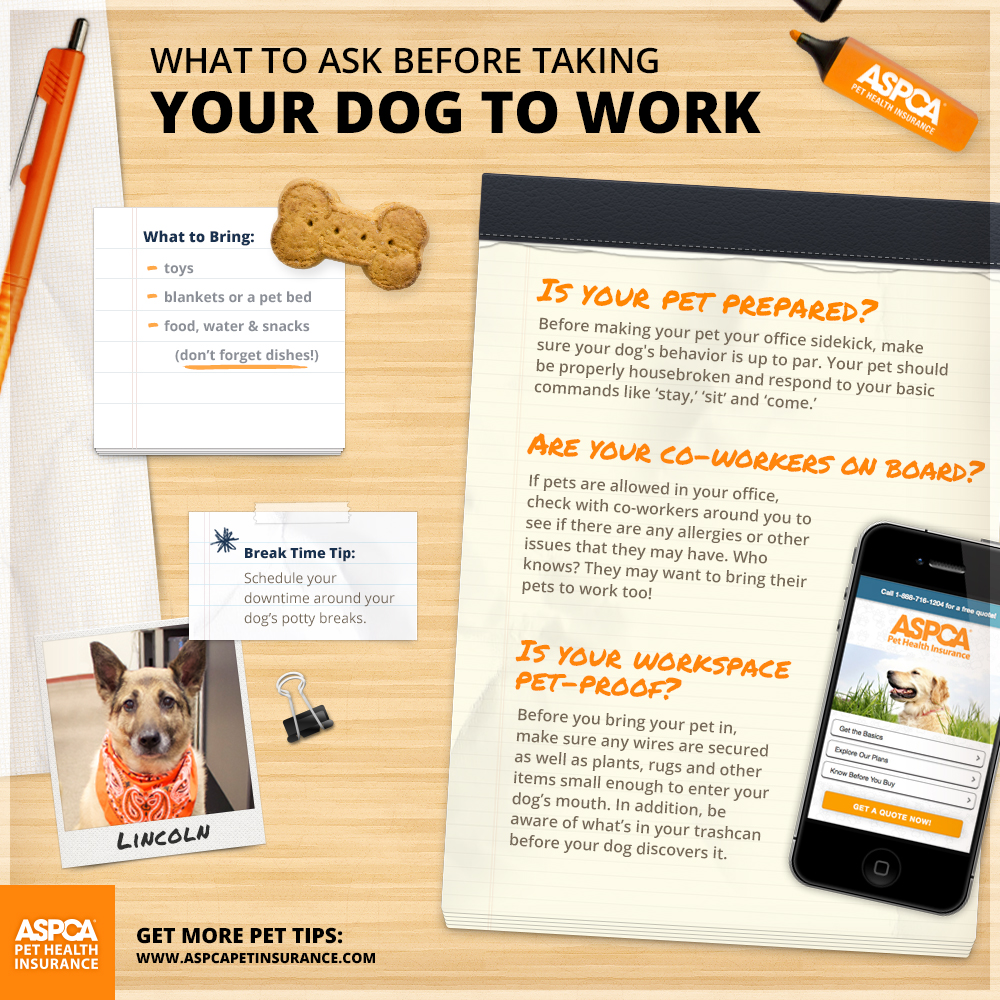 Benefits of Bringing Your Dog to Work ASPCA Pet Health Insurance