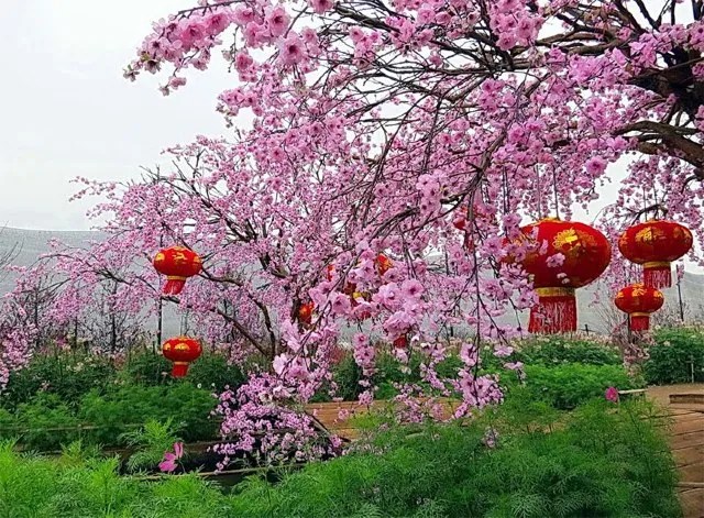 Hanoi Weather And Best Time To Visit Hanoi (2020)