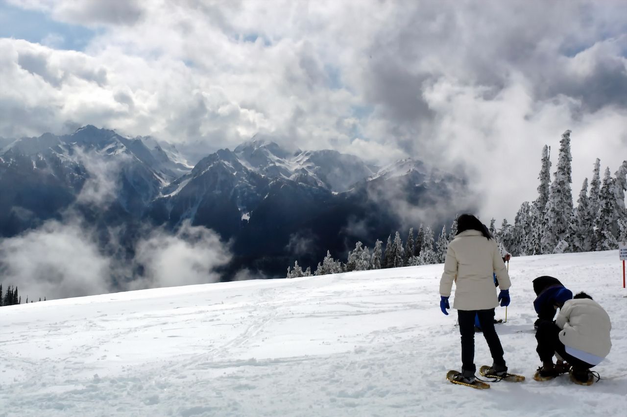 Best places to snowshoe and crosscountry ski in Washington state
